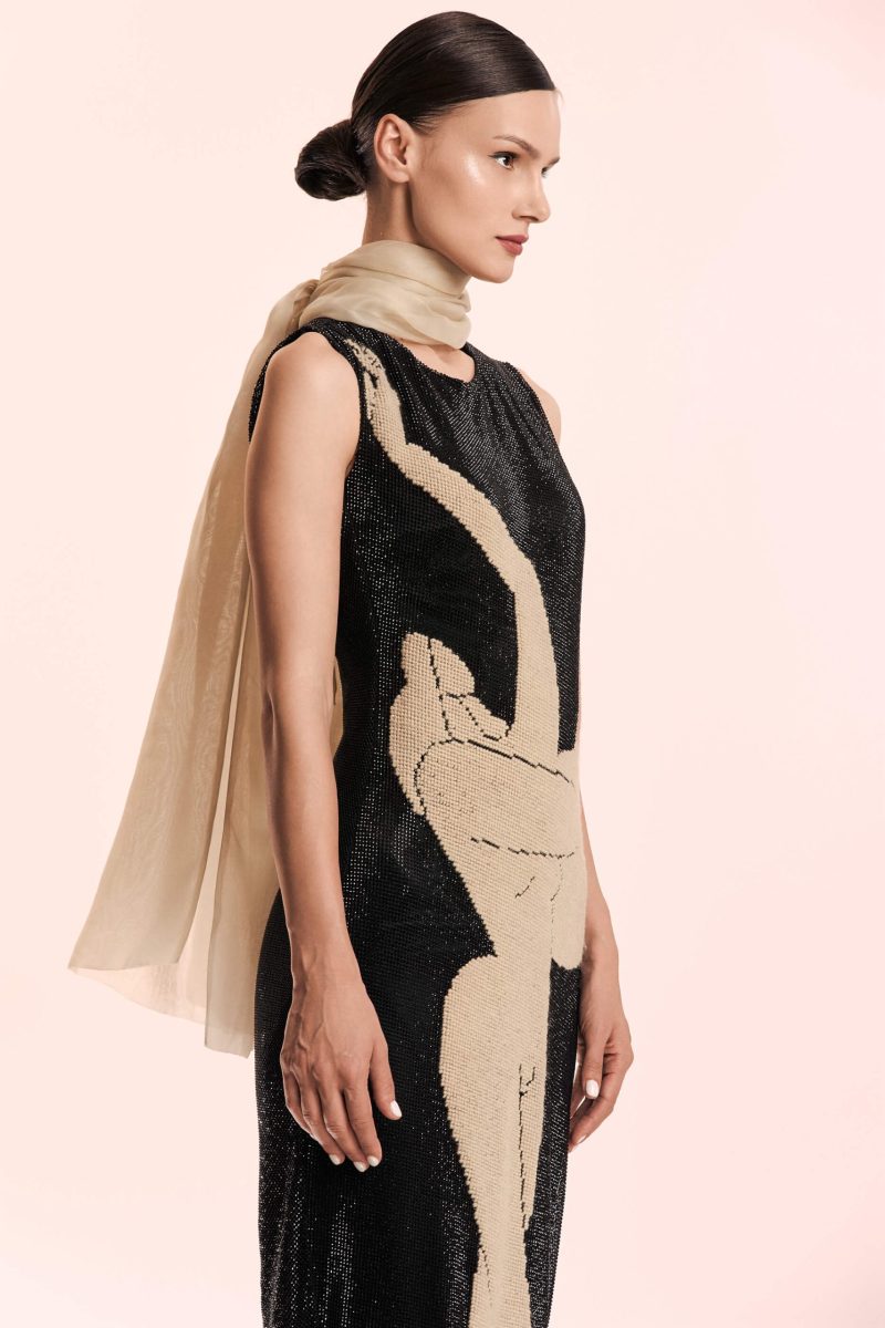 Hand Embroidered Net Dress with Feminine Silhouette - BOL