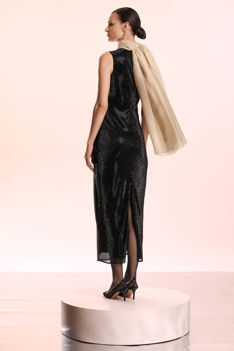 Hand Embroidered Net Dress with Feminine Silhouette - BOL